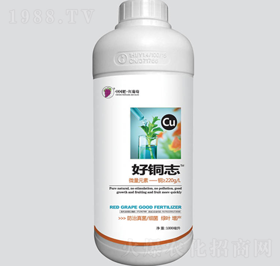 ���~־-�t����