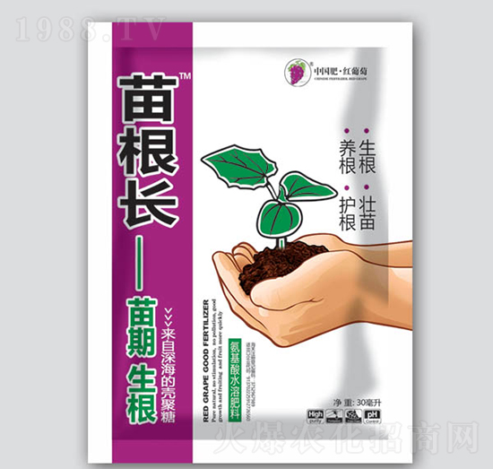 ����L-�t����