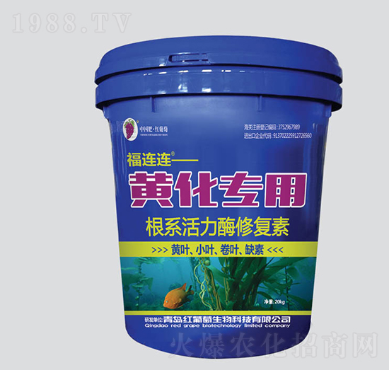 �S�����ø�ϵ����ø�ޏ���-���B�B-�t����