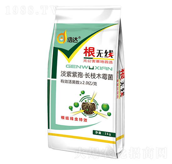 �������ߡ��L��ľù��-���o��-���_����