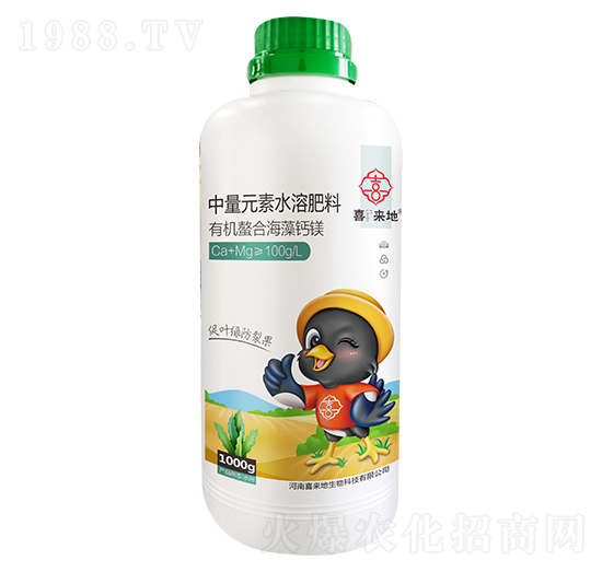 �ЙC(j��)���Ϻ����}�V-ϲ��(l��i)��