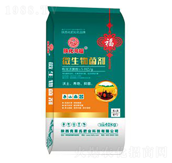 40kg΢�������-���R��