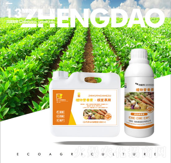 ���o��(zhu��n)��ֲ��I(y��ng)�B(y��ng)��-��������