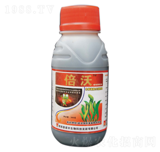 ���ᴼԭ�{-����-���Z�S