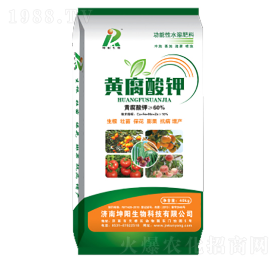 �S�����-�������