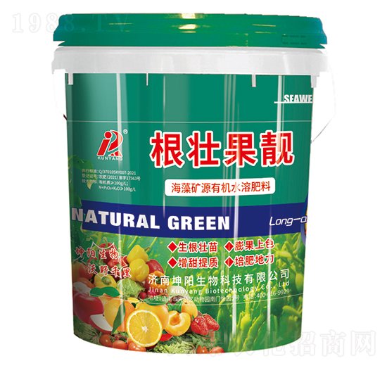 ���ѹ��n-�������