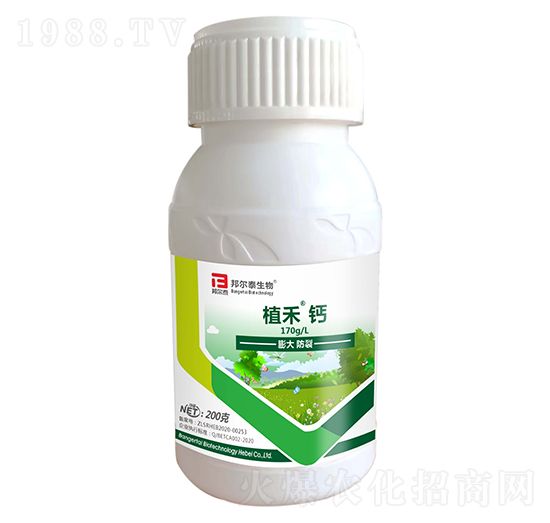 ֲ���}-�̩