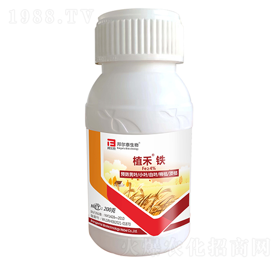 ֲ���F-�̩