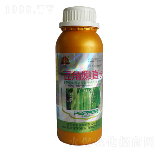 �������L(zh��ng)ֱ��ƿ��-(li��n)�ջ��W(xu��)