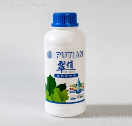 ����-����Ƽ�