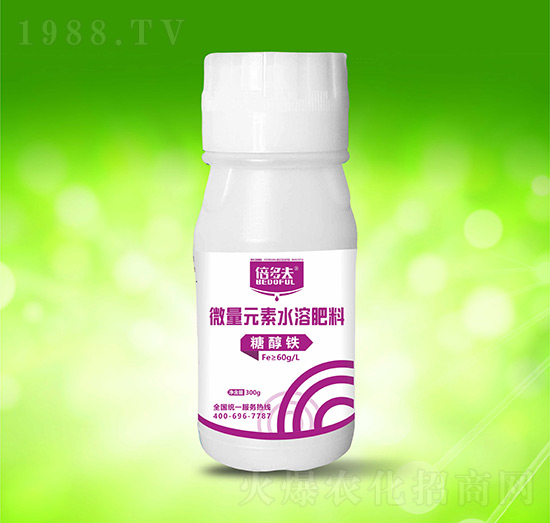 �Ǵ��F-�����