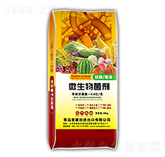 ΢�������-����-�տ���