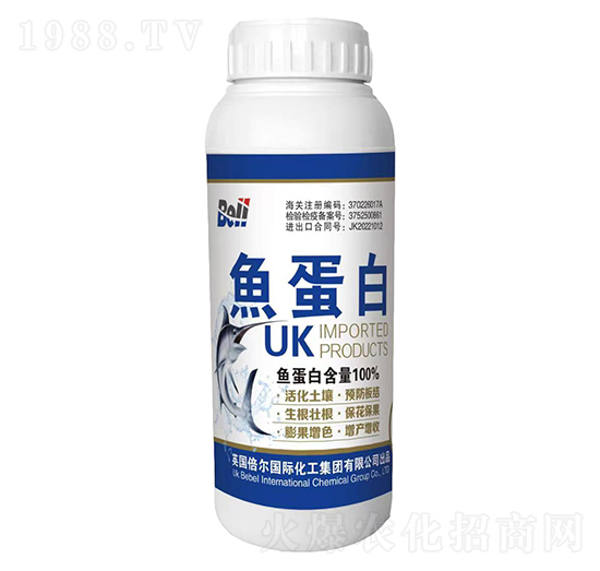 �M(j��n)���~����-Ӣ������-�տ���