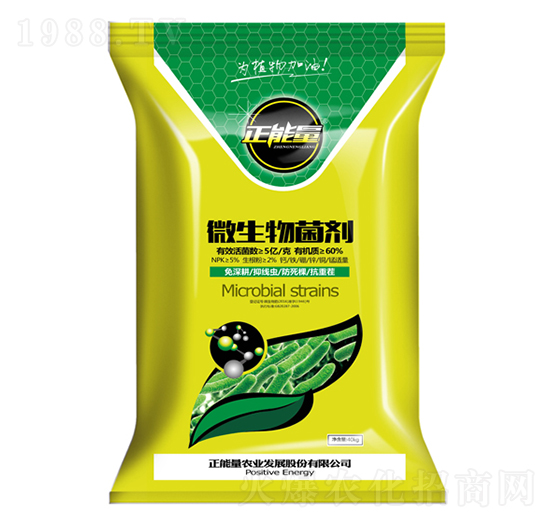 5�|���΢�������-������