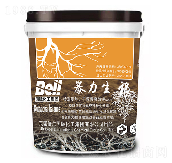 ��������-Ӣ������-�տ���