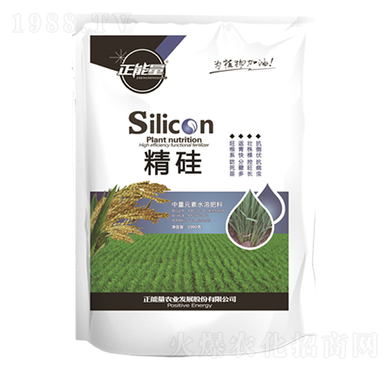 ˮ���їU����Silicon��������Ԫ��ˮ�ܷ���-������