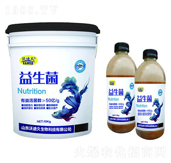 ������-�ֵϾ�