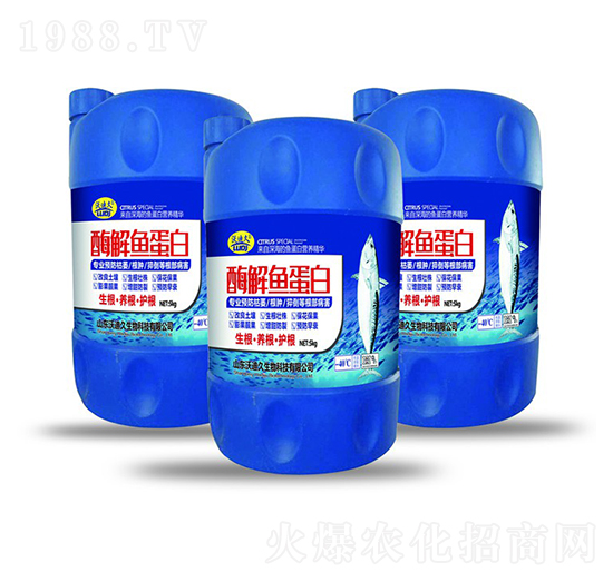 ø���~����-�ֵϾ�