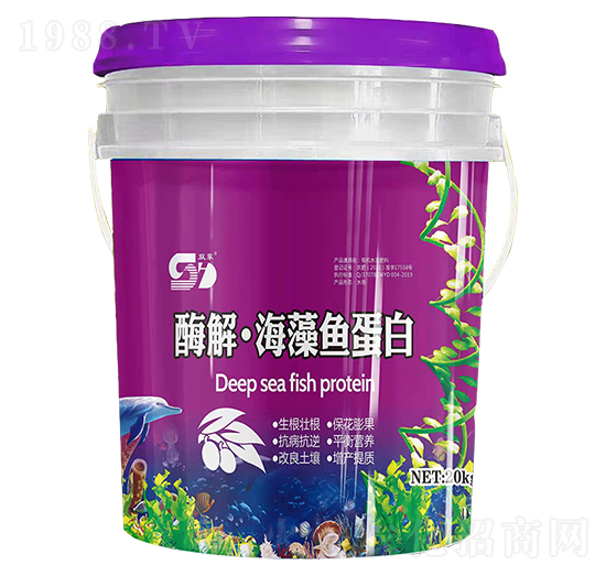 ø�⡤�����~����-���|����