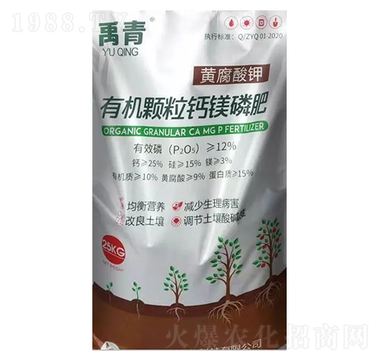 �ЙC�w���}�V�׷�-��������