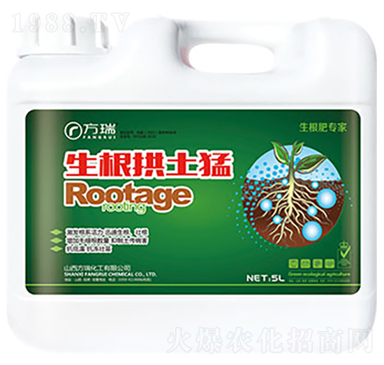 ����������-����