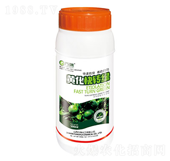 �S�����D�G-����