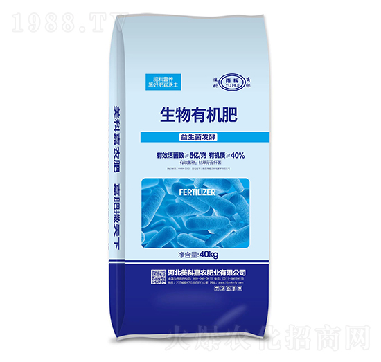 �������l(f��)�������ЙC��-�ꕟ-���Ƽ��r