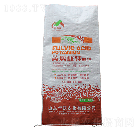 �S�����ˎ��-�A���r��