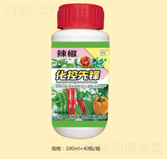 ��������-�fȪ�r��