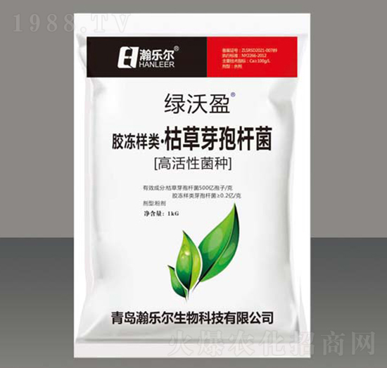 �z������ݲ�ѿ�ߗU��-�G��ӯ-嫘���