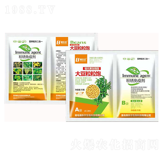 �������+���P���߄�-嫘�(l��)��