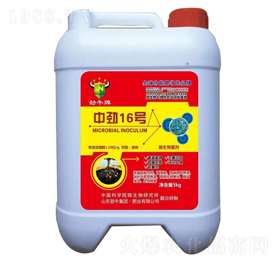 �Є�16̖΢�������-��ţ