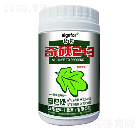 �_ʩ��Ȍ���-��T2+3-���A����