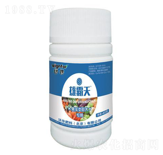 ����(sh��)������-�۰���-���A����