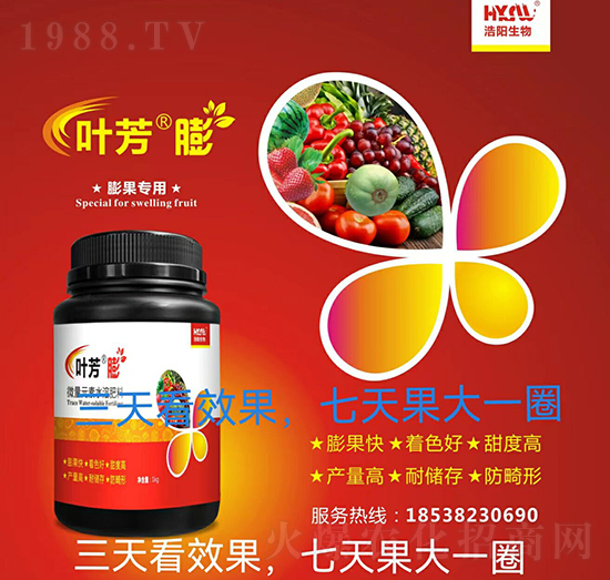 �����(zhu��n)��-�~����-���(y��ng)����