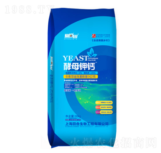 ��ĸ��}-�������