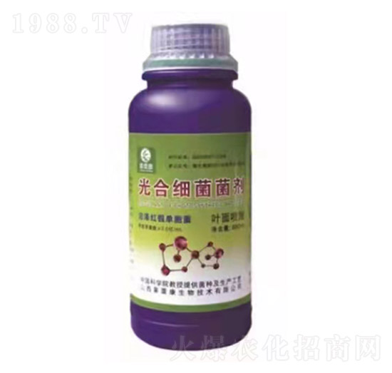 �~�懊ʩ��ϼ�(x��)������-���ڿ�