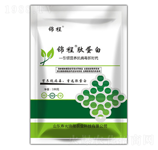 �ĵ���-�\���r�I(y��)