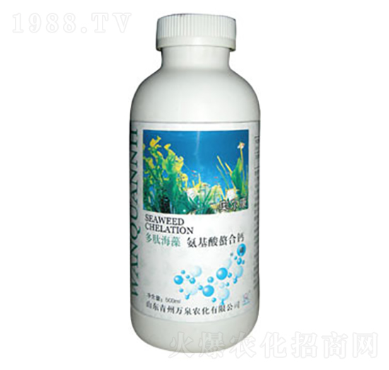 ���ĺ��������}-�fȪ�r��