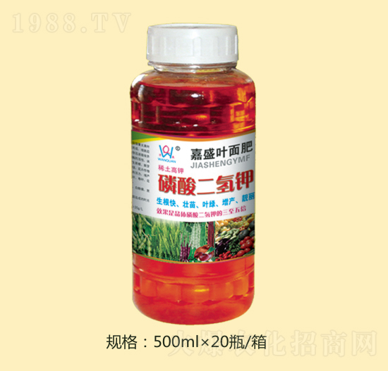 ��������-�fȪ�r(n��ng)��