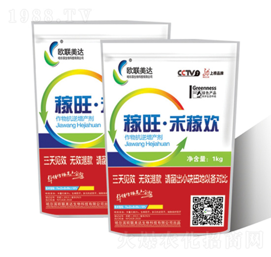 �������̼ښg-�W(li��n)���_(d��)