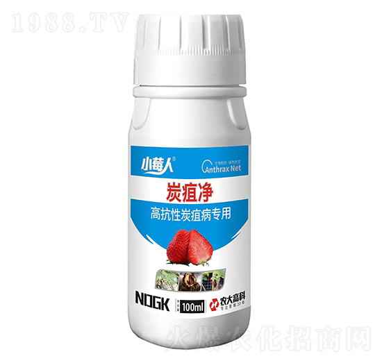 �߿���̿�Ҳ�����-̿�҃�-������