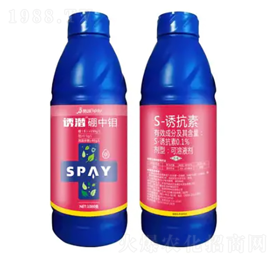 �T�������f-ʩ������