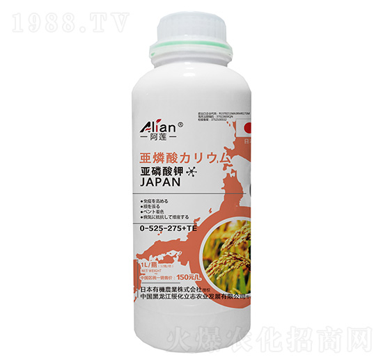 �������0-525-275+TE-��ɏ-���r��