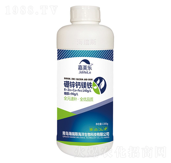 ���\�}�V�F-������-����˹