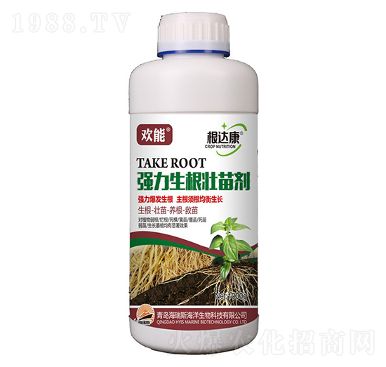 1000g�g�ܡ����_���������������焩-����˹