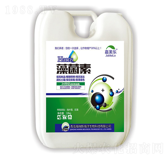 �����-������-����˹