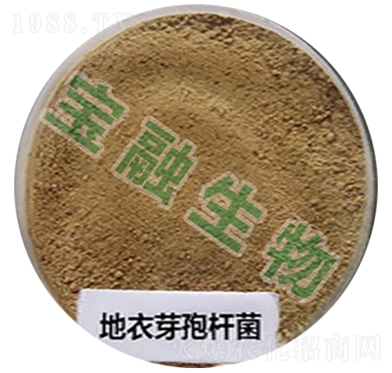 ����ѿ�ߗU��-��������