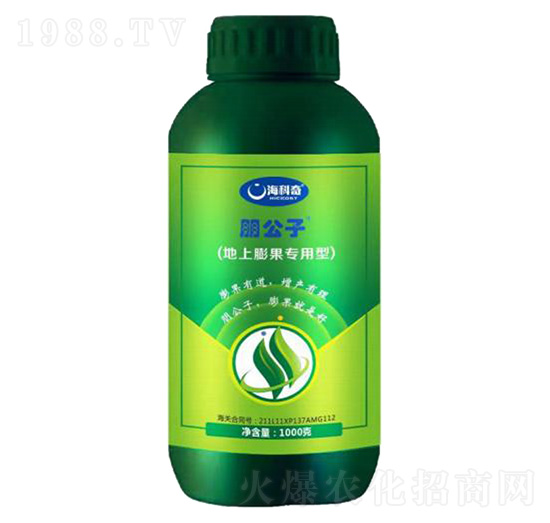 ������������ʹ���Ԫ��ˮ�ܷ���-����-������