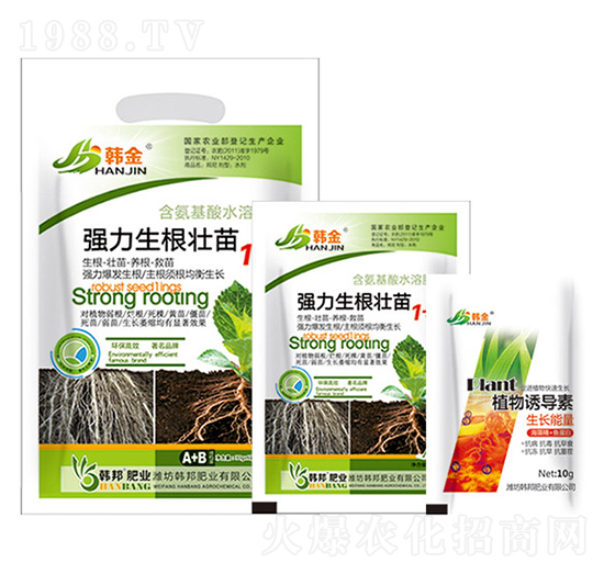 ��(qi��ng)����������1+1-�n��-�n��ʘI(y��)